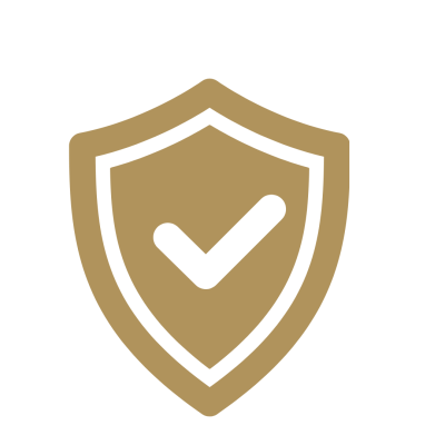 shield icon 2